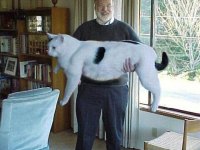 tiere027