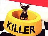 tiere030