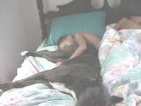 tiere048