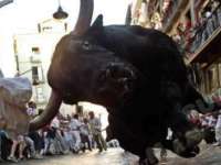 tiere069