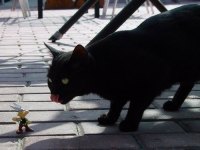 tiere146