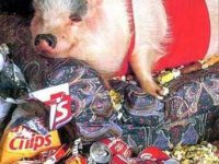 tiere152