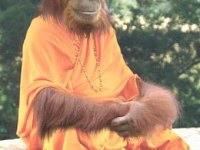 tiere164