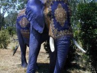 tiere167
