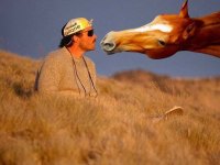 tiere260