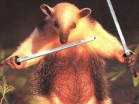 tiere285