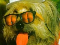 tiere291