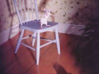 tiere297