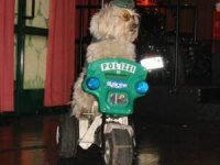tiere308
