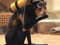 tiere391