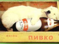 tiere394