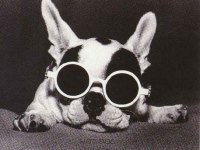 tiere416