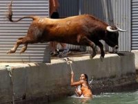 tiere465